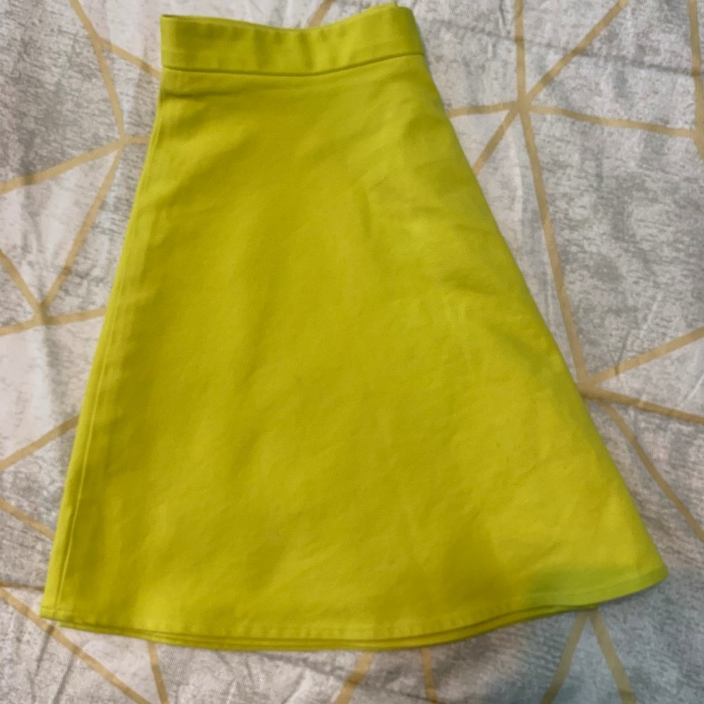 Club Monaco Skirt